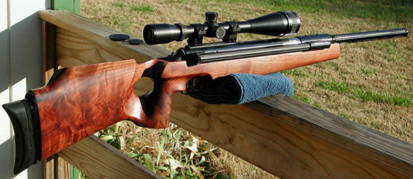 The Best Scopes for Air Rifles in 2022